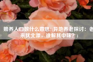 赡养人口数什么意思?(异地养老探讨：老来犹北漂，谁解其中味？)