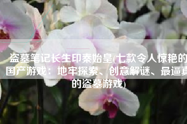 盗墓笔记长生印秦始皇(七款令人惊艳的国产游戏：地牢探索、创意解谜、最逼真的盗墓游戏)