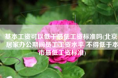 基本工资可以低于最低工资标准吗(北京：居家办公期间员工工资水平 不得低于本市最低工资标准)