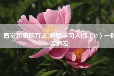 增发新股的方式(股票学习入门（17）—股票增发)