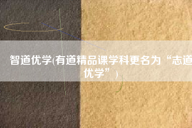 智道优学(有道精品课学科更名为“志道优学”)