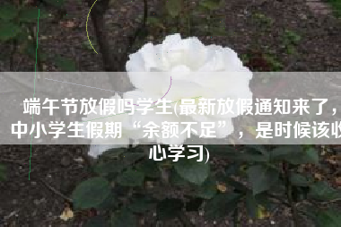 端午节放假吗学生(最新放假通知来了，中小学生假期“余额不足”，是时候该收心学习)