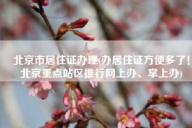 北京市居住证办理(办居住证方便多了！北京重点站区推行网上办、掌上办)