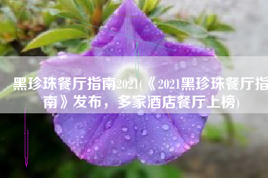 黑珍珠餐厅指南2021(《2021黑珍珠餐厅指南》发布，多家酒店餐厅上榜)