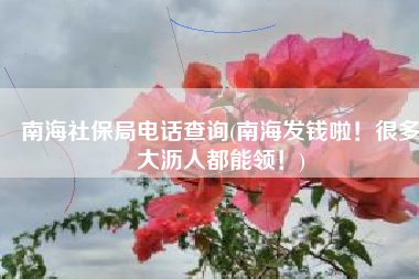 南海社保局电话查询(南海发钱啦！很多大沥人都能领！)