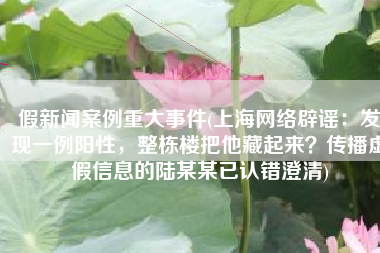 假新闻案例重大事件(上海网络辟谣：发现一例阳性，整栋楼把他藏起来？传播虚假信息的陆某某已认错澄清)