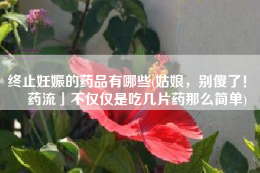 终止妊娠的药品有哪些(姑娘，别傻了！「药流」不仅仅是吃几片药那么简单)