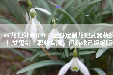 dnf龙袍外观(DNF：量身定制龙袍武器装扮！女鬼剑士职业专属，但游戏已经绝版)