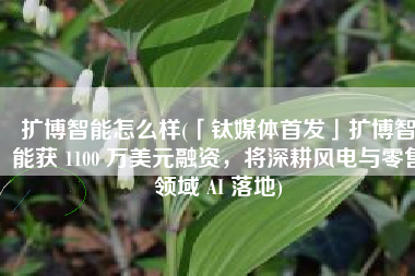 扩博智能怎么样(「钛媒体首发」扩博智能获 1100 万美元融资，将深耕风电与零售领域 AI 落地)