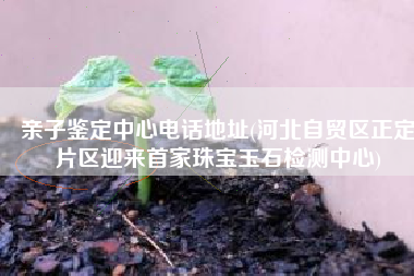 亲子鉴定中心电话地址(河北自贸区正定片区迎来首家珠宝玉石检测中心)