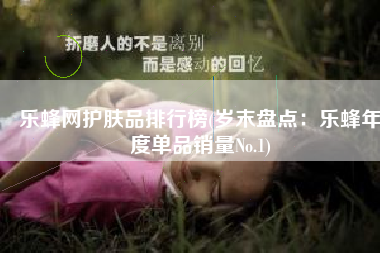 乐蜂网护肤品排行榜(岁末盘点：乐蜂年度单品销量No.1)