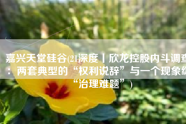 嘉兴天堂硅谷(21深度丨欣龙控股内斗调查：两套典型的“权利说辞”与一个现象级“治理难题”)
