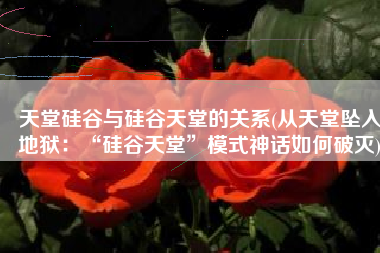 天堂硅谷与硅谷天堂的关系(从天堂坠入地狱：“硅谷天堂”模式神话如何破灭)