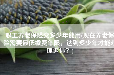职工养老保险交多少年能用(现在养老保险需要最低缴费年限，达到多少年才能办理退休？)