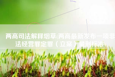 两高司法解释烟草(两高最新发布一项非法经营罪定罪（立案）量刑标准)