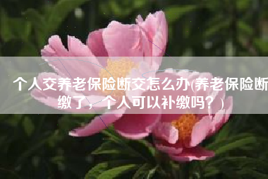 个人交养老保险断交怎么办(养老保险断缴了，个人可以补缴吗？)