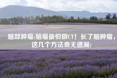 脑部肿瘤(脑瘤最怕做CT！长了脑肿瘤，这几个方法查无遗漏)