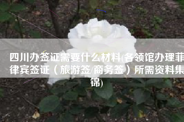 四川办签证需要什么材料(各领馆办理菲律宾签证（旅游签/商务签）所需资料集锦)