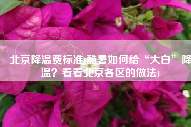 北京降温费标准(酷暑如何给“大白”降温？看看北京各区的做法)