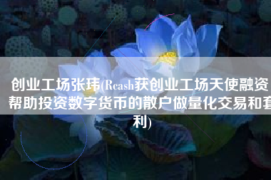创业工场张玮(Rcash获创业工场天使融资，帮助投资数字货币的散户做量化交易和套利)