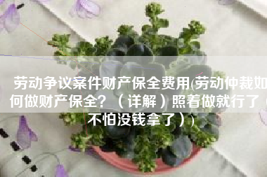 劳动争议案件财产保全费用(劳动仲裁如何做财产保全？（详解）照着做就行了（不怕没钱拿了）)