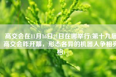 高交会在11月16日21日在哪举行(第十九届高交会昨开幕，形态各异的机器人争相亮相)