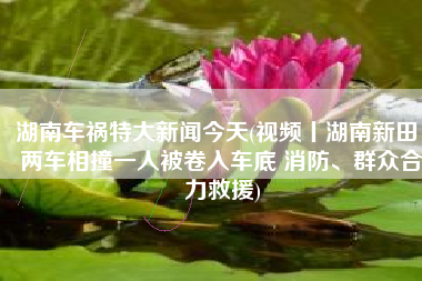 湖南车祸特大新闻今天(视频丨湖南新田：两车相撞一人被卷入车底 消防、群众合力救援)