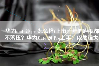 华为mate20 pro怎么样(上市一年的旗舰都不落伍？华为Mate 20 Pro上手：依然强大)