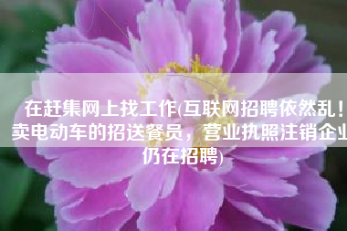 在赶集网上找工作(互联网招聘依然乱！卖电动车的招送餐员，营业执照注销企业仍在招聘)