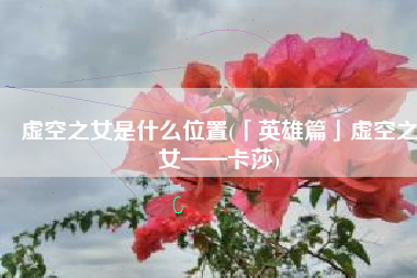 虚空之女是什么位置(「英雄篇」虚空之女——卡莎)