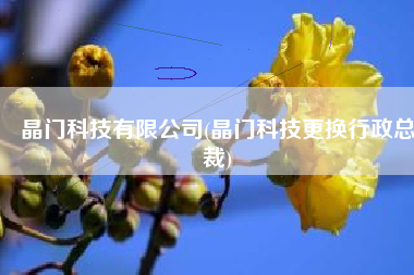 晶门科技有限公司(晶门科技更换行政总裁)