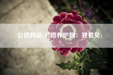 公路网站(公路养护网：我看见)