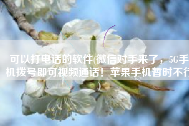 可以打电话的软件(微信对手来了，5G手机拨号即可视频通话！苹果手机暂时不行)