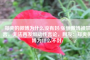 郑爽的微博为什么没有封(张恒微博被禁言，无法再发煽动性言论，网友：郑爽微博为什么不封)