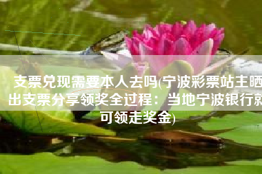 支票兑现需要本人去吗(宁波彩票站主晒出支票分享领奖全过程：当地宁波银行就可领走奖金)