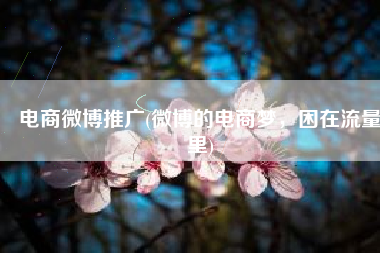 电商微博推广(微博的电商梦，困在流量里)