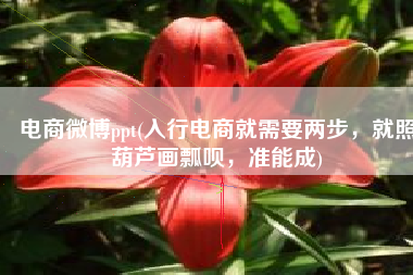 电商微博ppt(入行电商就需要两步，就照葫芦画瓢呗，准能成)