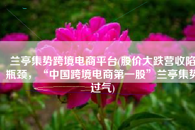 兰亭集势跨境电商平台(股价大跌营收陷瓶颈，“中国跨境电商第一股”兰亭集势过气)