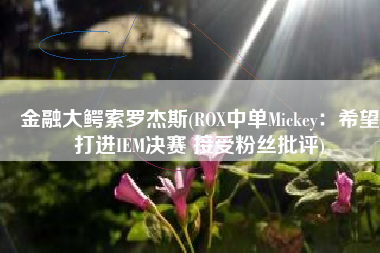 金融大鳄索罗杰斯(ROX中单Mickey：希望打进IEM决赛 接受粉丝批评)