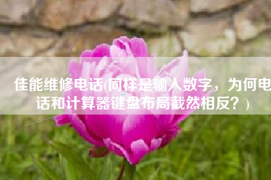 佳能维修电话(同样是输入数字，为何电话和计算器键盘布局截然相反？)