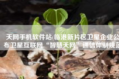 天网手机软件站(临港新片区卫星企业公布卫星互联网“智慧天网”通信体制规范)