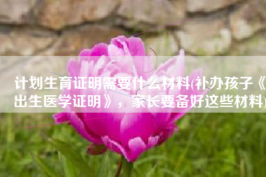 计划生育证明需要什么材料(补办孩子《出生医学证明》，家长要备好这些材料)
