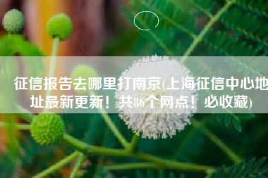 征信报告去哪里打南京(上海征信中心地址最新更新！共86个网点！必收藏)