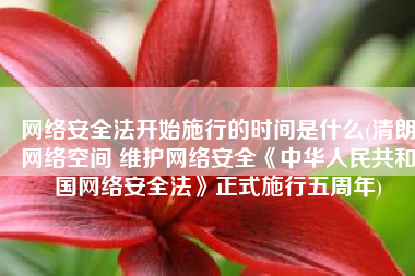 网络安全法开始施行的时间是什么(清朗网络空间 维护网络安全《中华人民共和国网络安全法》正式施行五周年)