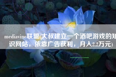 mediavine联盟(大叔建立一个酒吧游戏的知识网站，依靠广告获利，月入2.2万元)
