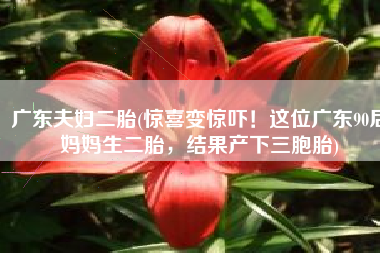 广东夫妇二胎(惊喜变惊吓！这位广东90后妈妈生二胎，结果产下三胞胎)