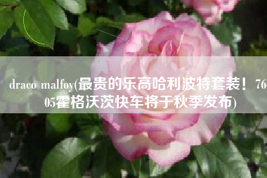 draco malfoy(最贵的乐高哈利波特套装！76405霍格沃茨快车将于秋季发布)