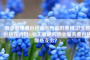 物业管理费包括哪些方面的费用,卫生费包括在内吗?(业主缴纳的物业服务费包括哪些支出？)
