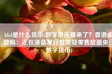 hkd是什么货币(数字港元要来了？香港金管局：正在准备发行批发及零售层面央行数字货币)