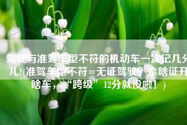 驾驶与准驾车型不符的机动车一次记几分儿?(准驾车型不符=无证驾驶？拿啥证开啥车，“跨级”12分就没啦！)